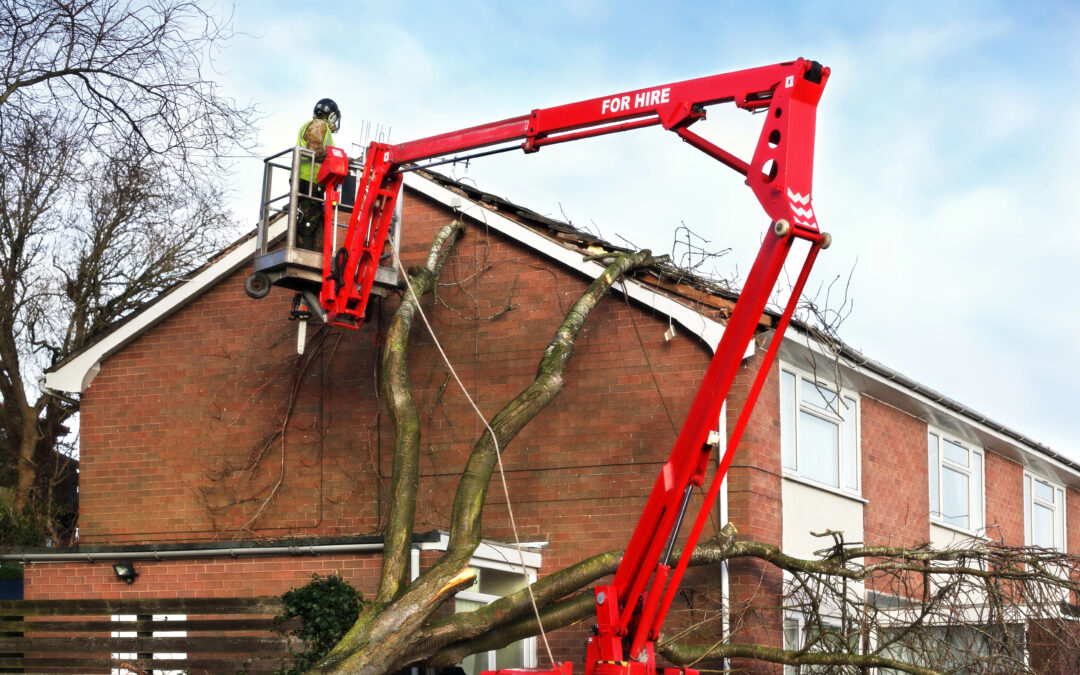 Storm Damage Restoration: What to Do After a Major Weather Event