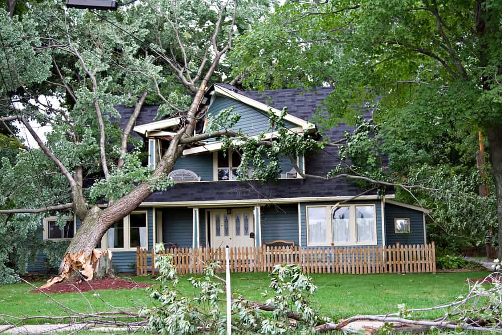 wind damage