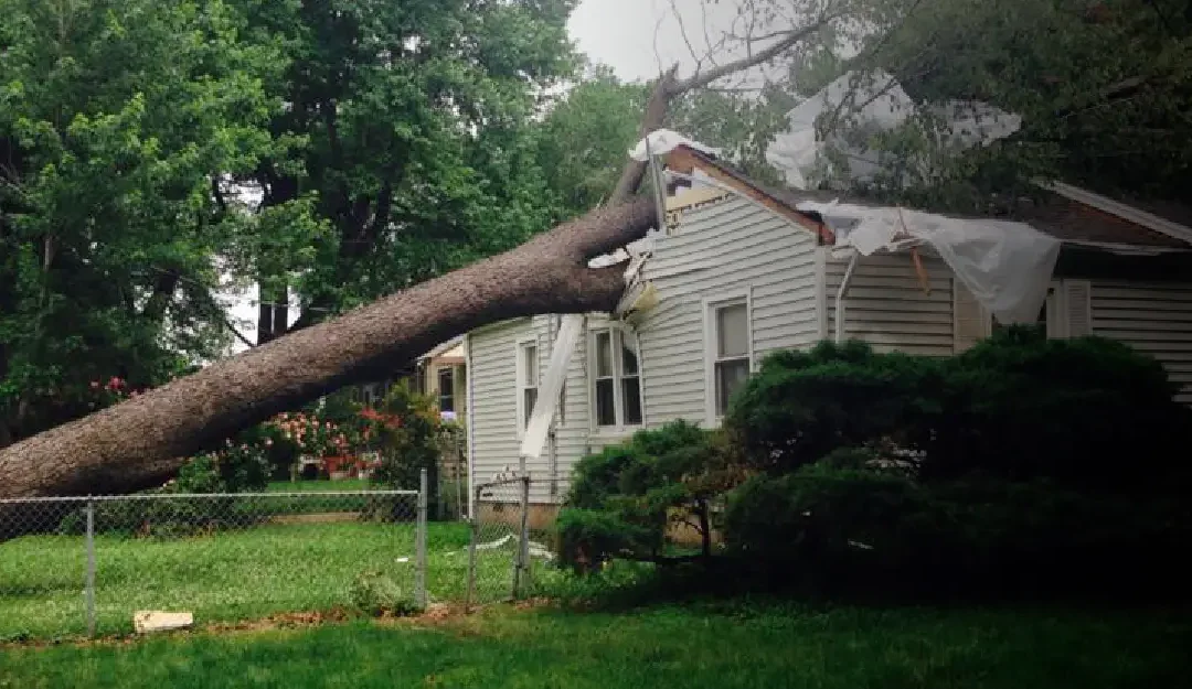 Emergency Storm Cleanup: What Happens in the First 24 Hours