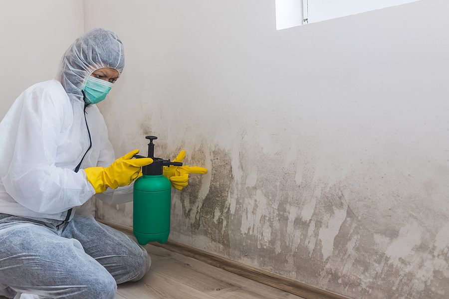 How Mold Remediation Works: A Step-by-Step Process Guide